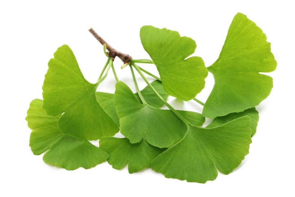 gingko biloba v kapsulách Glucoren